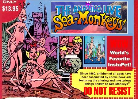 SEA MONKEY CAPTAIN PELBAM ART/ ALL WOUND UP/ EDDIE BREEN  