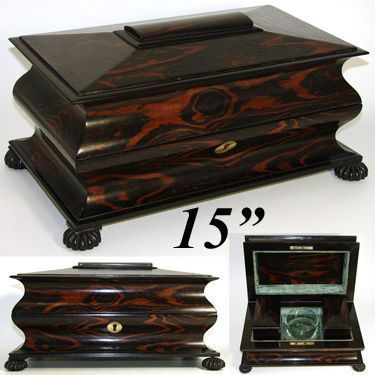 Fab Antique Victorian Tiger or Rosewood 15 Double Well Tea Chest, Tea 