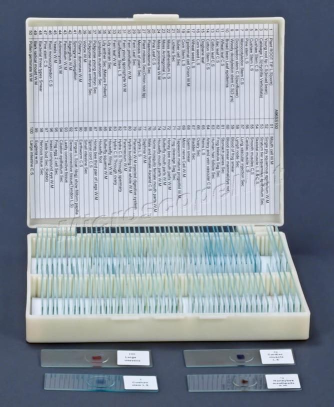 A96SS100 Prepared Slides in Basic Science for Compound Microscope with 