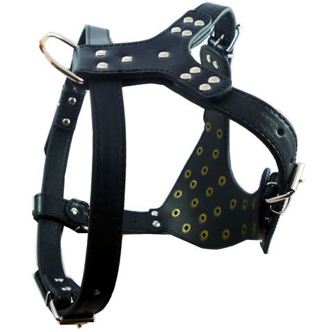 Studs Leather Dog Harness Rottweiler Amstaff 25 33  