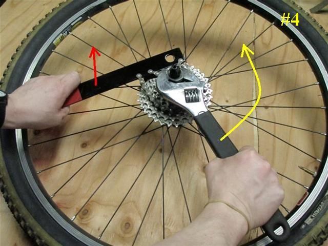   the skewer and unscrew the lockring the rest of the way to remove it