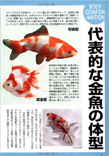 Fish Book Japanese Goldfish Ranchu Catalogue 5  