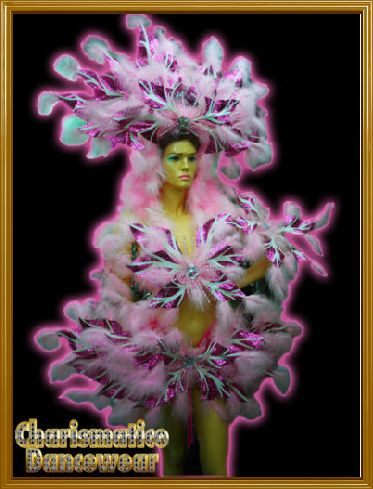 SUGAR PINK BURLESQUE Feather SHOW Headdress Costume set  