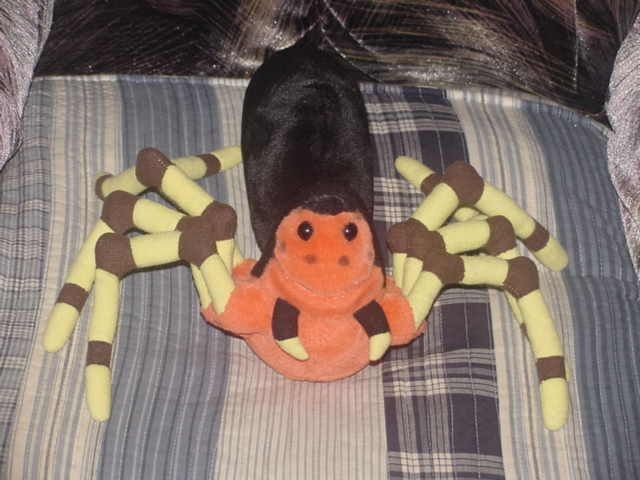 Spider Plush Toy From Movie Jumanji 1995 Trendmasters  