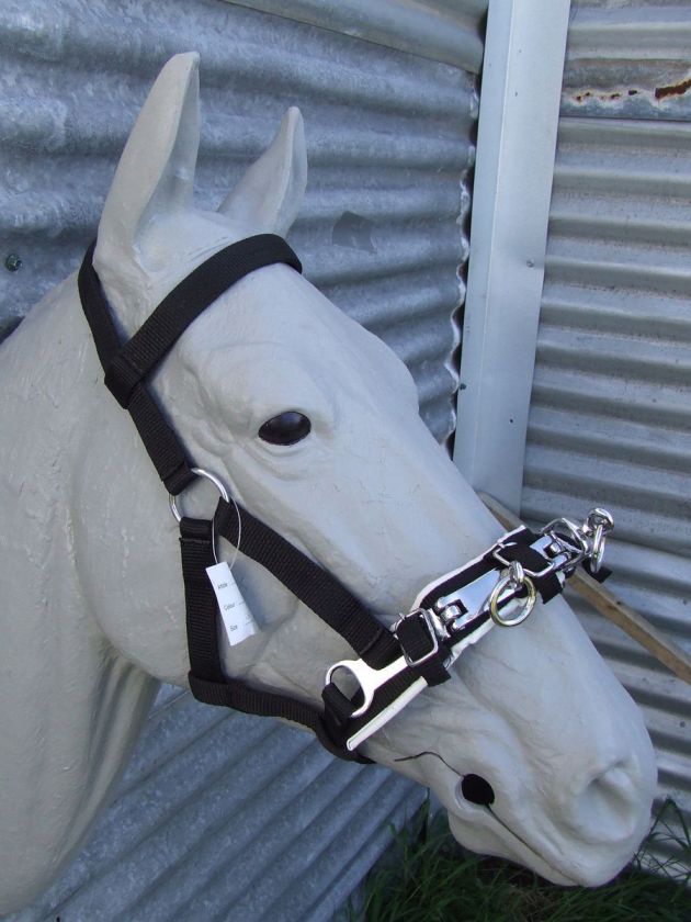 Ecotak black lunge halter/cavesson with swivel Cob  