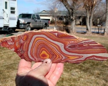 SOLAR FLARE JASPER SLAB Rock/Fossil/Mineral/Cab/agate/rough/onyx/gem 