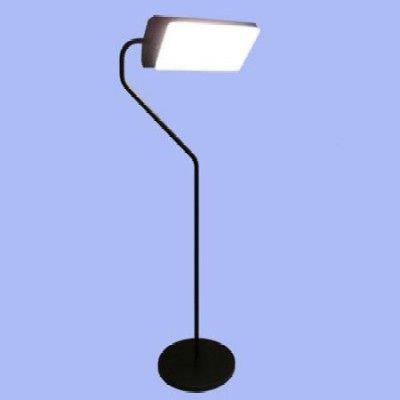 Northern Light Technologies Flamingo SAD Floor Lamp  