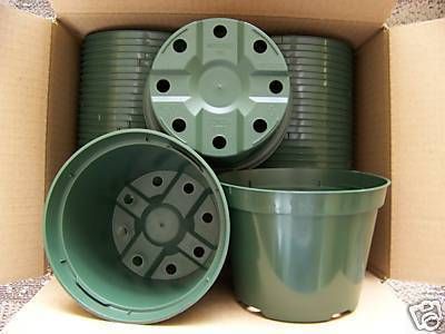 new azalea green plastic pot @@ greenhouse planter outdoor nursery 