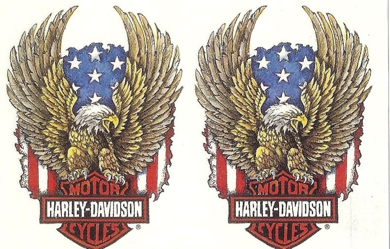 Harley Davidson Eagle with Gold Wings Tattoo Decal  