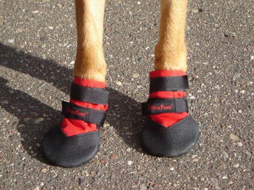   Dog Boots Water Resistant Booties for Snow Ice Mud Hot Asphalt  