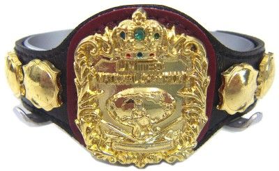 PRO WRESTLING CHAMPION BELT FIGURE 16 SCALE MODEL United National 